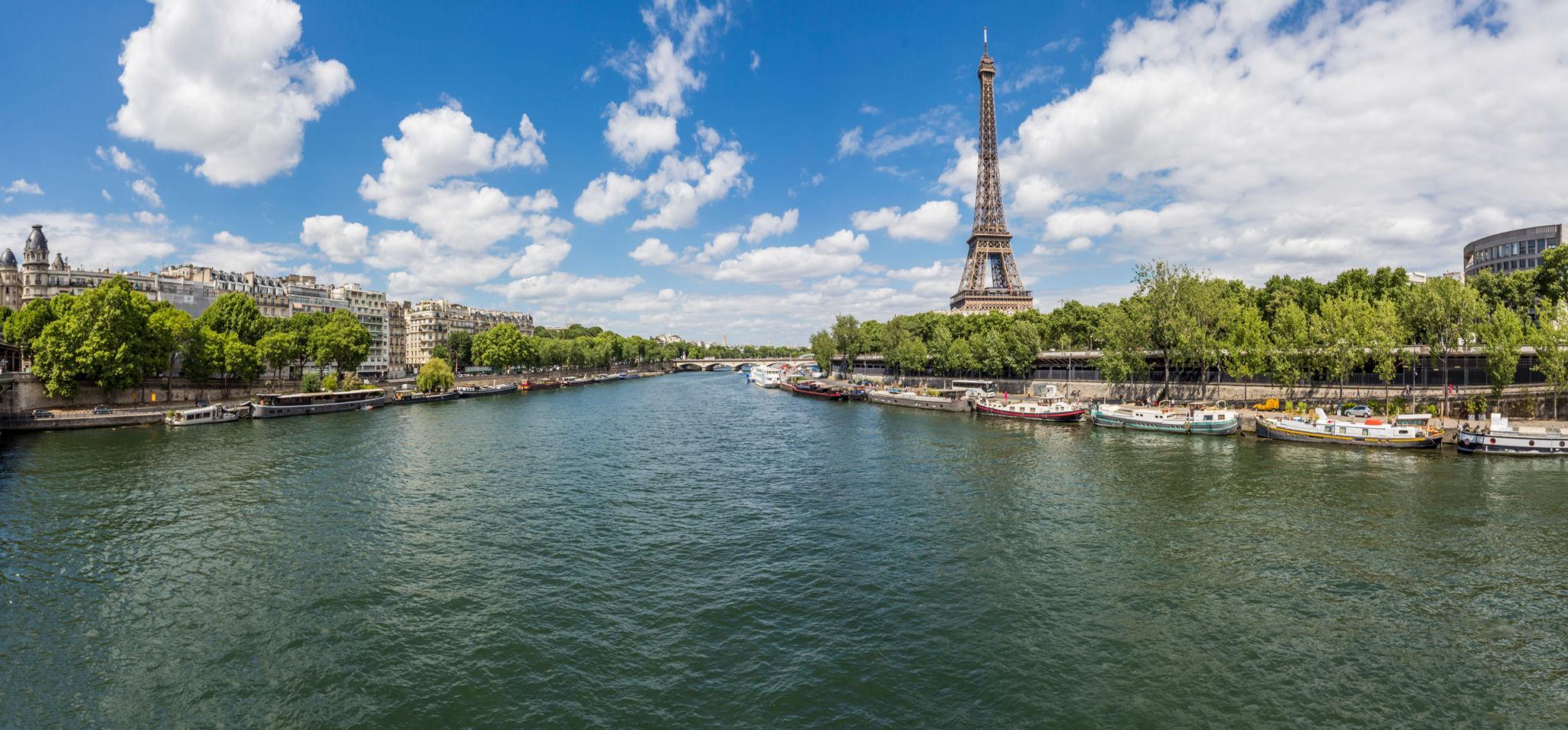 Eiffel Tower and Paris skyline